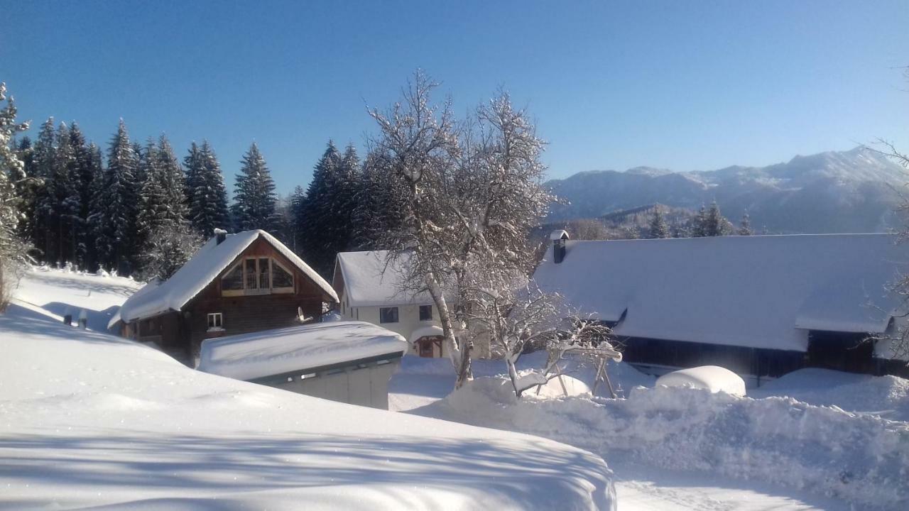 Ferienhaus Zwickelreith Göstling an der Ybbs Exterior foto